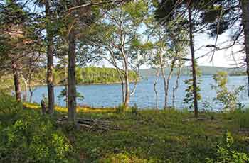 62 Ha Grundstück mit Ufer an geschützter Meeresbucht zu verkaufen auf Cape Breton Island, Nova Scotia, Kanada