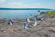 62 Ha Kanada Grundstück mit Ufer an geschützter Meeresbucht zu verkaufen auf Cape Breton Island, Nova Scotia