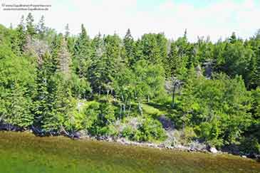 Immobilien zu verkaufen auf Cape Breton Island, Nova Scotia, Kanada