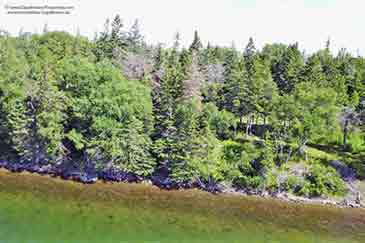Immobilien zu verkaufen auf Cape Breton Island, Nova Scotia, Kanada
