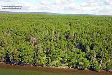 Immobilien zu verkaufen auf Cape Breton Island, Nova Scotia, Kanada