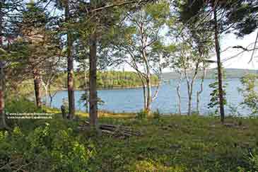 Immobilien zu verkaufen auf Cape Breton Island, Nova Scotia, Kanada