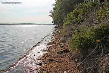 Immobilien zu verkaufen auf Cape Breton Island, Nova Scotia, Kanada