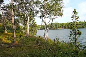 Immobilien zu verkaufen auf Cape Breton Island, Nova Scotia, Kanada
