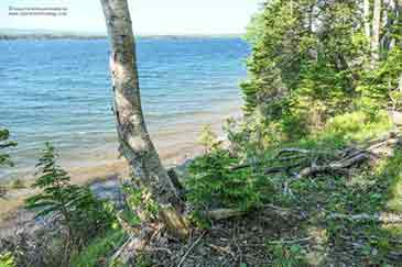 Immobilien zu verkaufen auf Cape Breton Island, Nova Scotia, Kanada