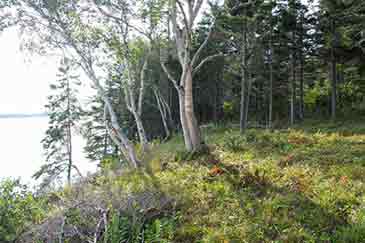 Immobilien zu verkaufen auf Cape Breton Island, Nova Scotia, Kanada