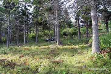 Immobilien zu verkaufen auf Cape Breton Island, Nova Scotia, Kanada