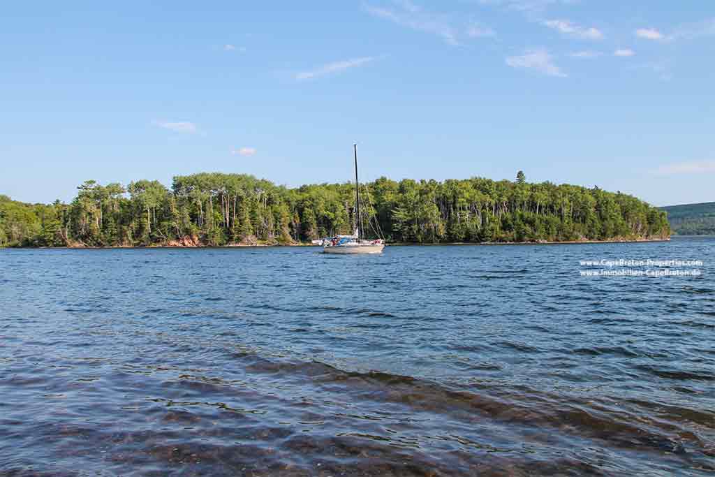 Sea Trout Estate – 8 Ha Kanada Grundstück - Südhang mit Ufer am Bras d’Or Lake