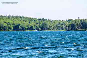 Ufergrundstück am Bras d’Or Lake Little Harbour, Malagawatch zu verkaufen Nova Scotia, Kanada