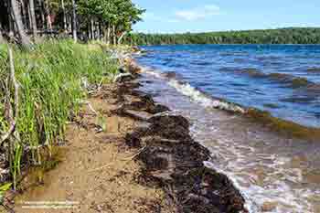 Ufergrundstück am Bras d’Or Lake Little Harbour, Malagawatch zu verkaufen Nova Scotia, Kanada