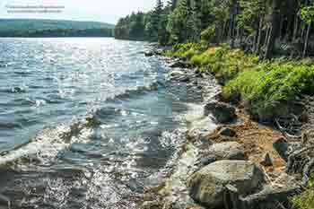 Ufergrundstück am Bras d’Or Lake Little Harbour, Malagawatch zu verkaufen Nova Scotia, Kanada