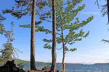 Ufergrundstück am Bras d’Or Lake Little Harbour, Malagawatch zu verkaufen Nova Scotia, Kanada