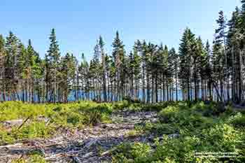 Ufergrundstück am Bras d’Or Lake Little Harbour, Malagawatch zu verkaufen Nova Scotia, Kanada