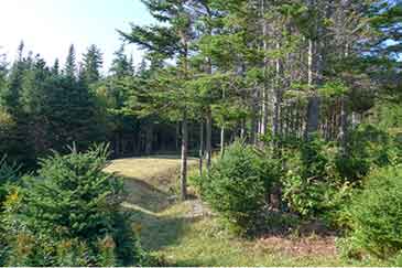 Haus auf Grundstück mit Meeresufer zu verkaufen auf Cape Breton Island, Nova Scotia