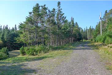 Haus auf Grundstück mit Meeresufer zu verkaufen auf Cape Breton Island, Nova Scotia
