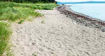 Ocean Beach Farm - 62 Ha Grundstück mit Ufer an geschützter Meeresbucht zu verkaufen auf Cape Breton Island, Nova Scotia, Kanada